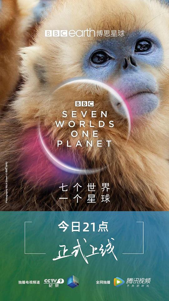 七个世界，一个星球 Seven Worlds, One Planet (2019) / 七个世界，一颗星球 / 一颗星球：七个世界 / One Planet: Seven Worlds