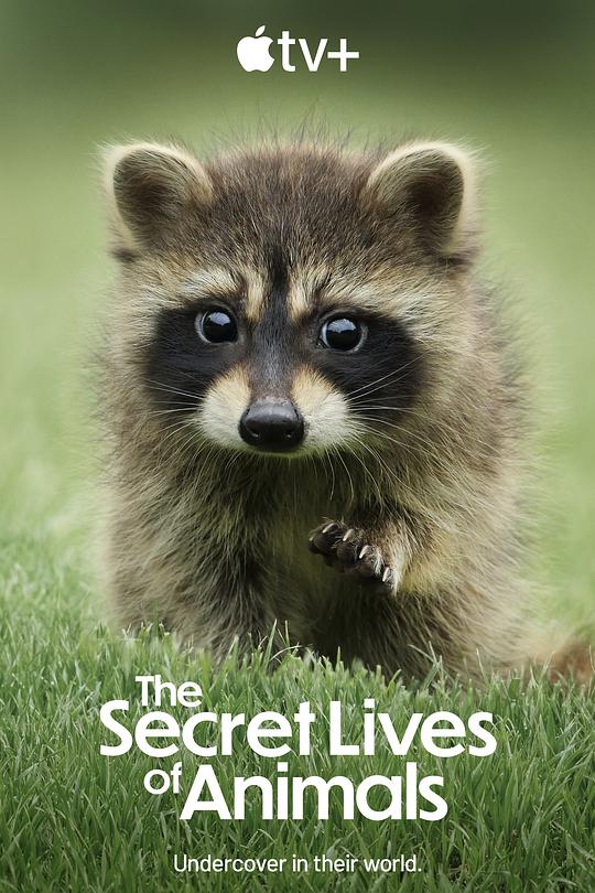 动物的秘密生活 The Secret Lives of Animals (2024) / 你所不知的动物日常(港) / 动物生活大解密(台)